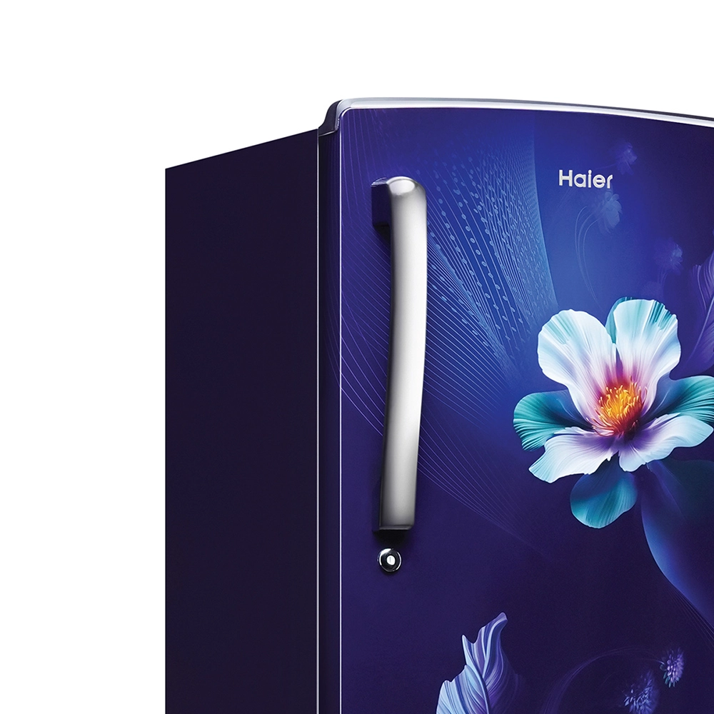 Haier 235L 2 Star MarineKaren Single Door Refrigerator 